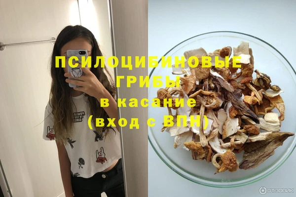 дурь Михайловск
