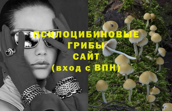 дурь Михайловск