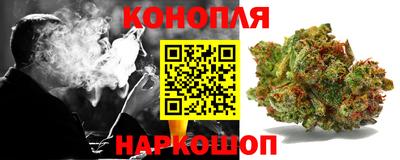 spice Гатчина