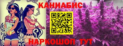 spice Гатчина