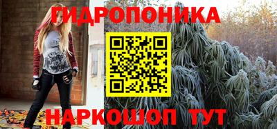 spice Гатчина