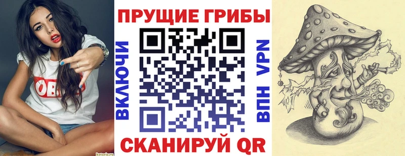 Псилоцибиновые грибы Cubensis  Заринск 