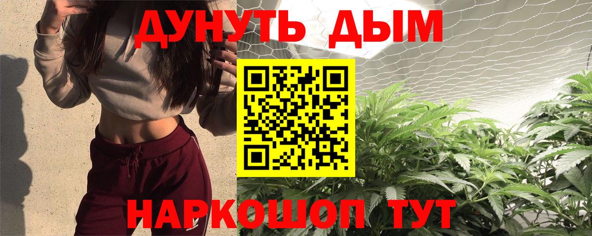 Бошки Шишки ГИДРОПОН  Вход с VPN  Шишки марихуана конопля  Заринск 